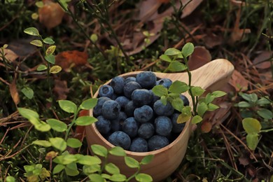 Wooden mug full of fresh ripe blueberries in grass