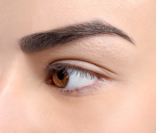 Photo of Beautiful woman with perfect eyebrow, closeup