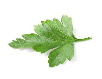 Fresh green organic parsley on white background