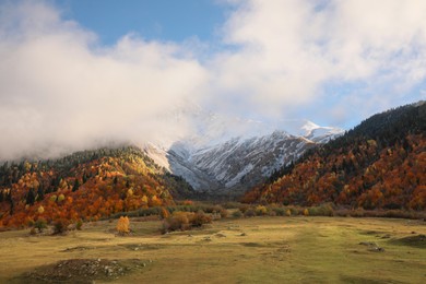 Photo of Picturesque view of high mountains with forest and meadow on autumn day