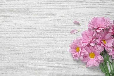 Photo of Beautiful pink chamomile flowers on white wooden background, flat lay. Space for text