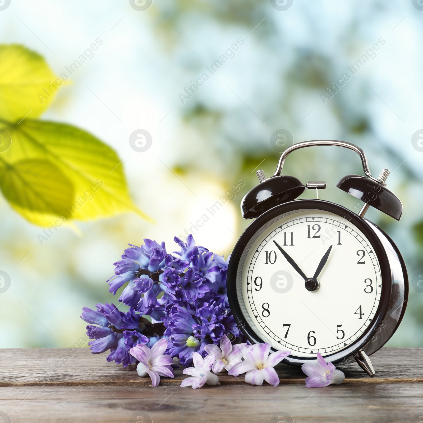 Image of Black alarm clock and flowers on wooden table against blurred background. Spring time