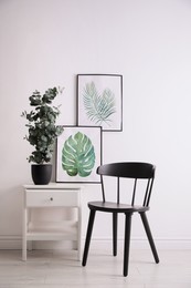 Photo of Stylish room interior with modern furniture, beautiful paintings and potted eucalyptus plant near light wall
