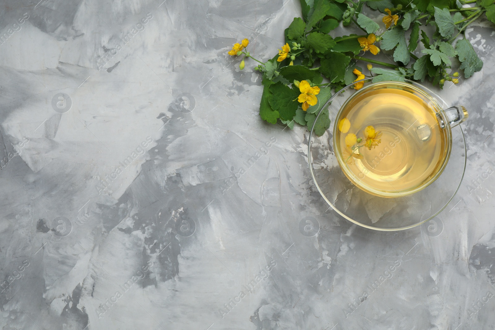 Photo of Glass cup of aromatic celandine tea and flowers on grey table, flat lay. Space for text