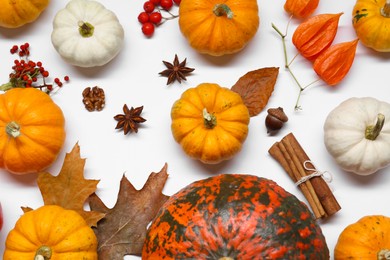 Photo of Thanksgiving day. Flat lay composition with pumpkins on white background