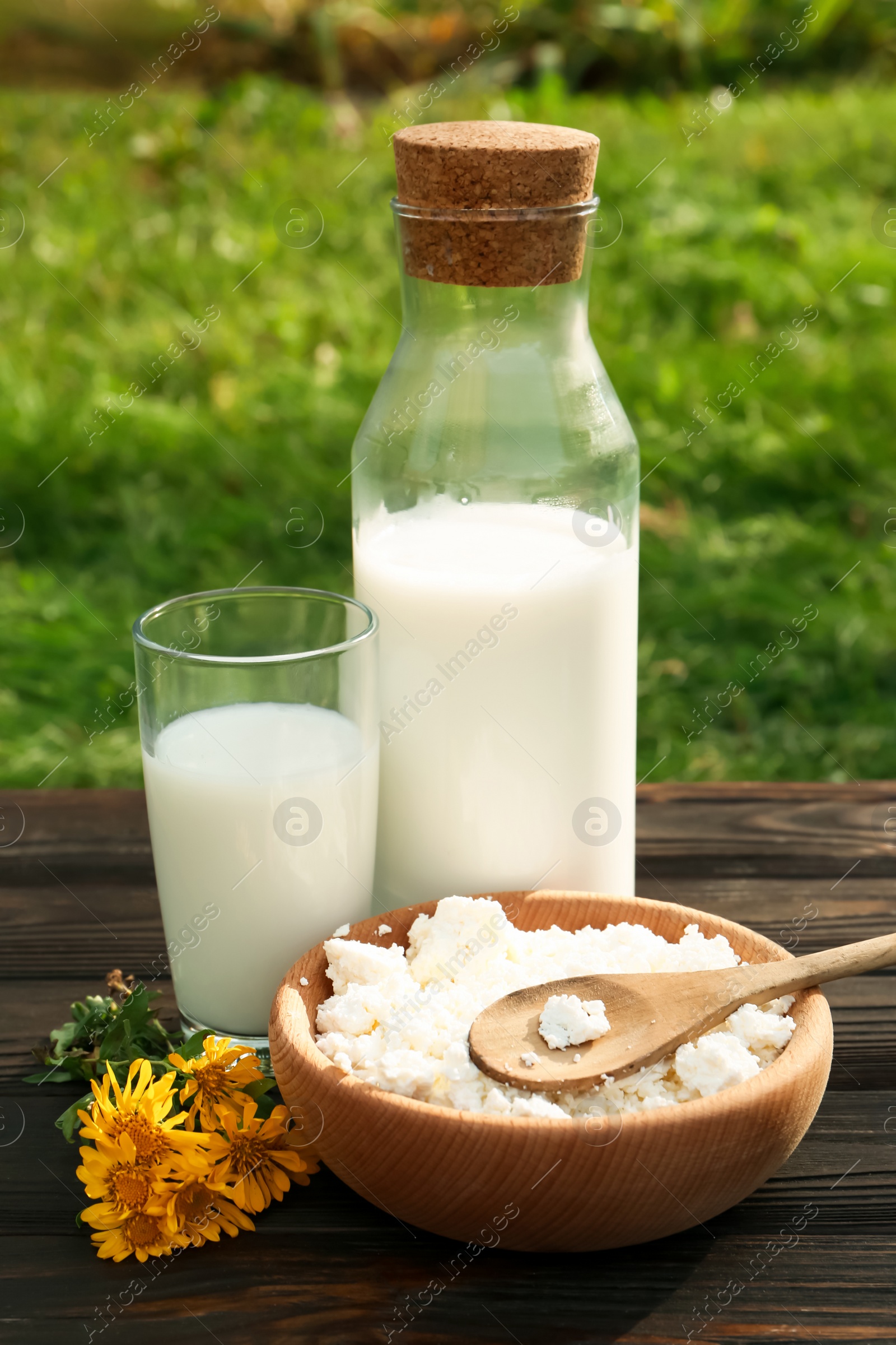 Photo of Tasty fresh milk and cottage cheese on wooden table outdoors