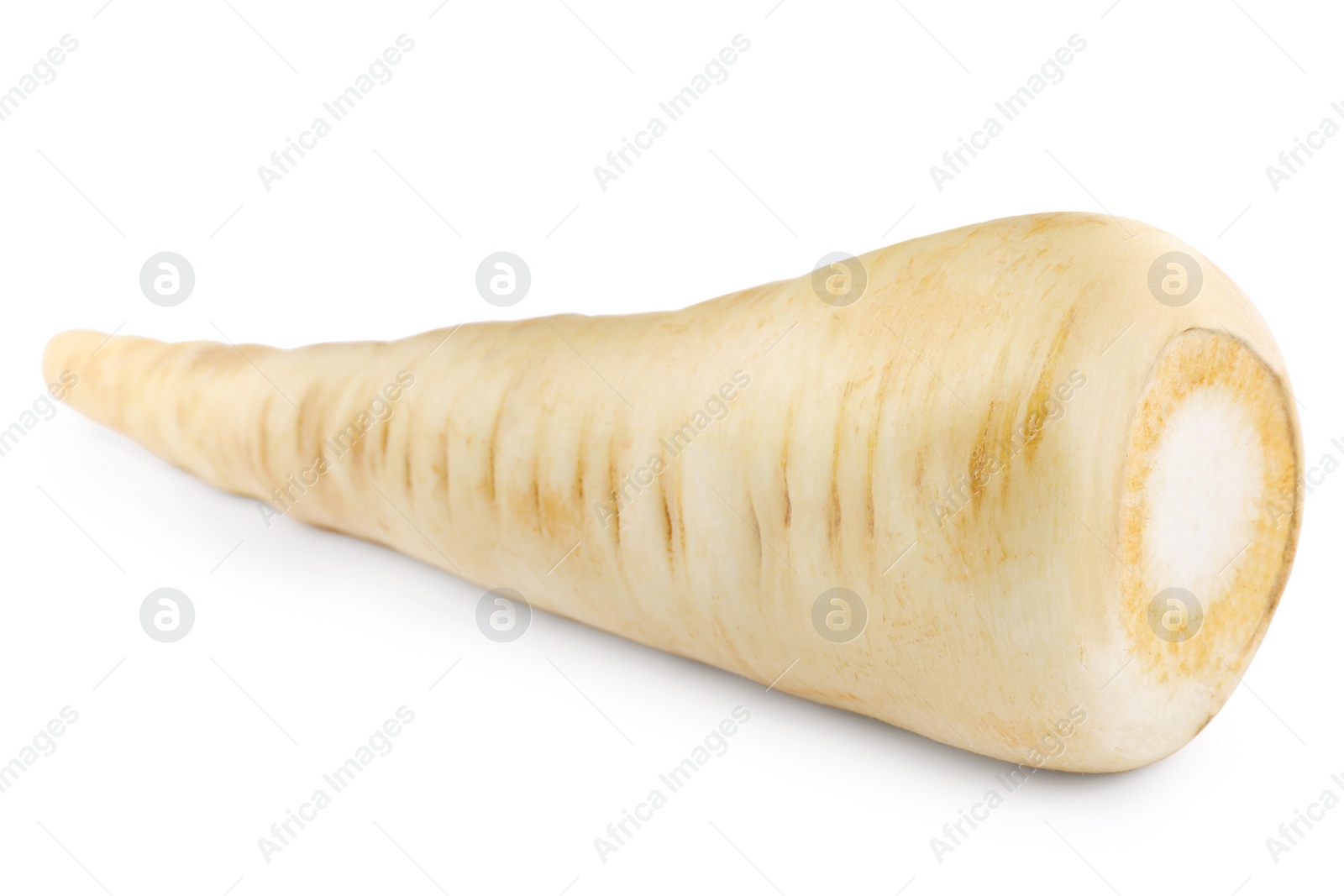 Photo of Tasty fresh ripe parsnip isolated on white