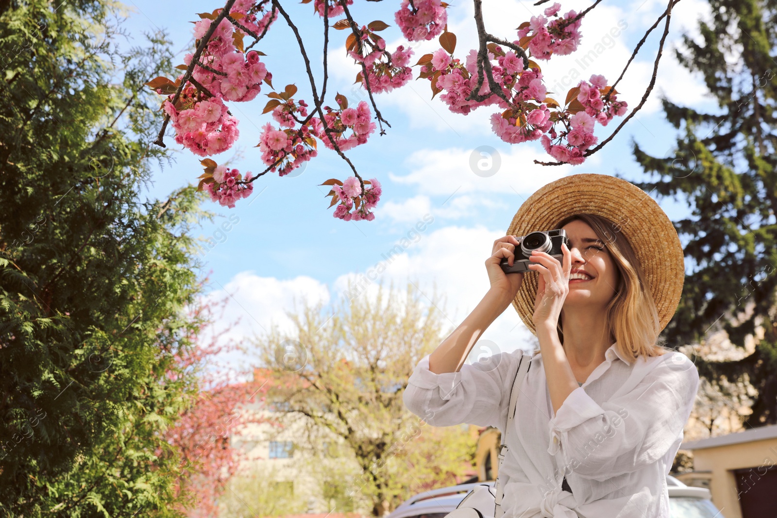Photo of Happy female tourist taking photo of blossoming sakura outdoors on spring day