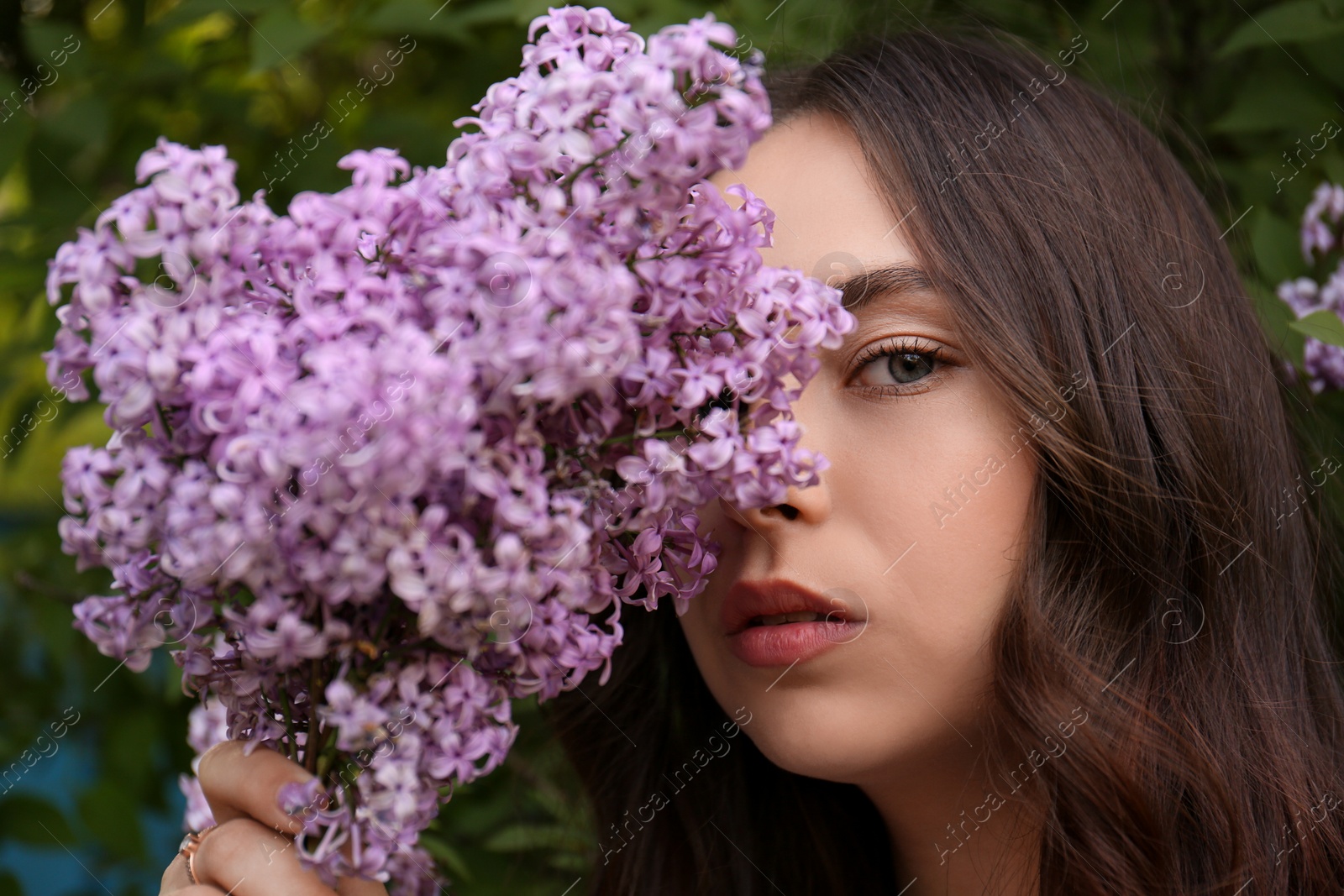 Photo of Attractive young woman near blooming lilac bush outdoors, closeup