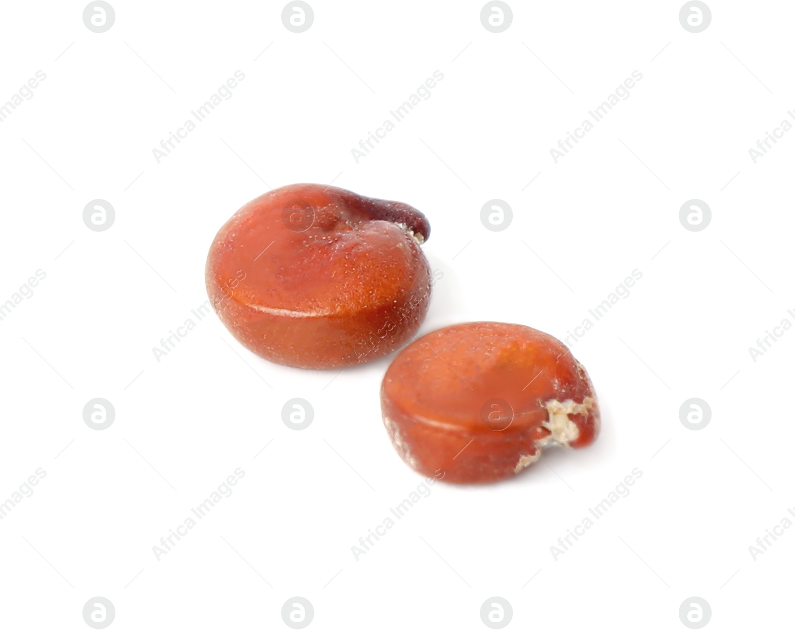 Photo of Raw red quinoa seeds on white background. Vegetable planting