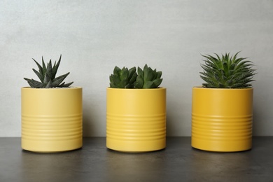 Houseplants in yellow tin cans on grey stone table