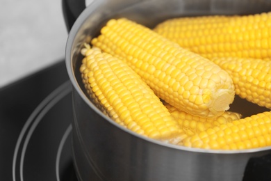 Photo of Stewpot with water and corn cobs on stove, closeup