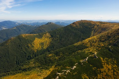Image of Beautiful mountain landscape with forest on sunny day. Drone photography