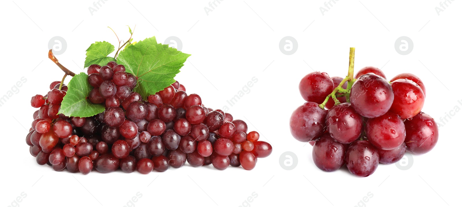 Image of Two fresh grape clusters on white background. Banner design