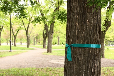 Photo of Teal awareness ribbon tied on tree in park, space for text