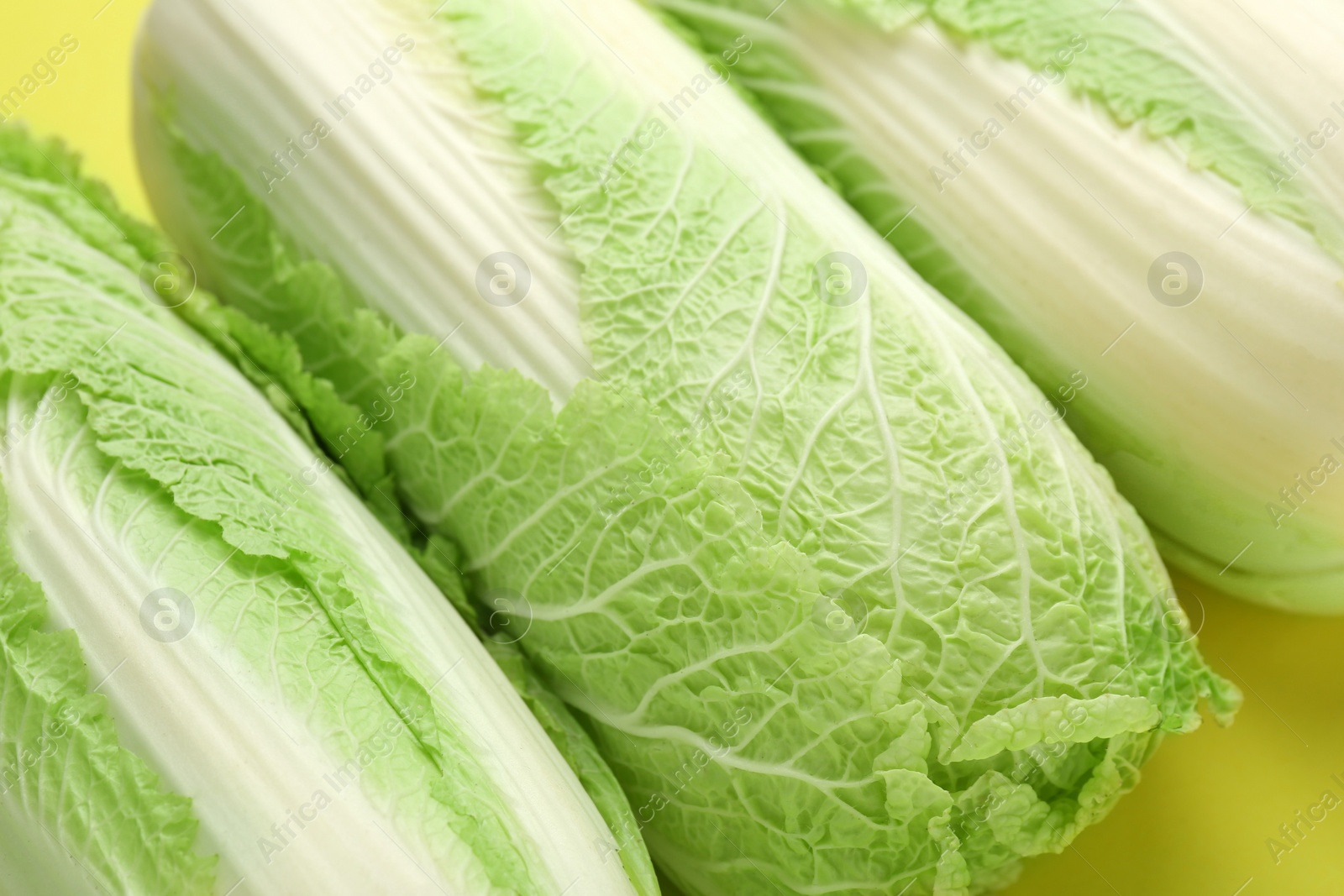 Photo of Fresh ripe Chinese cabbages on green background, closeup