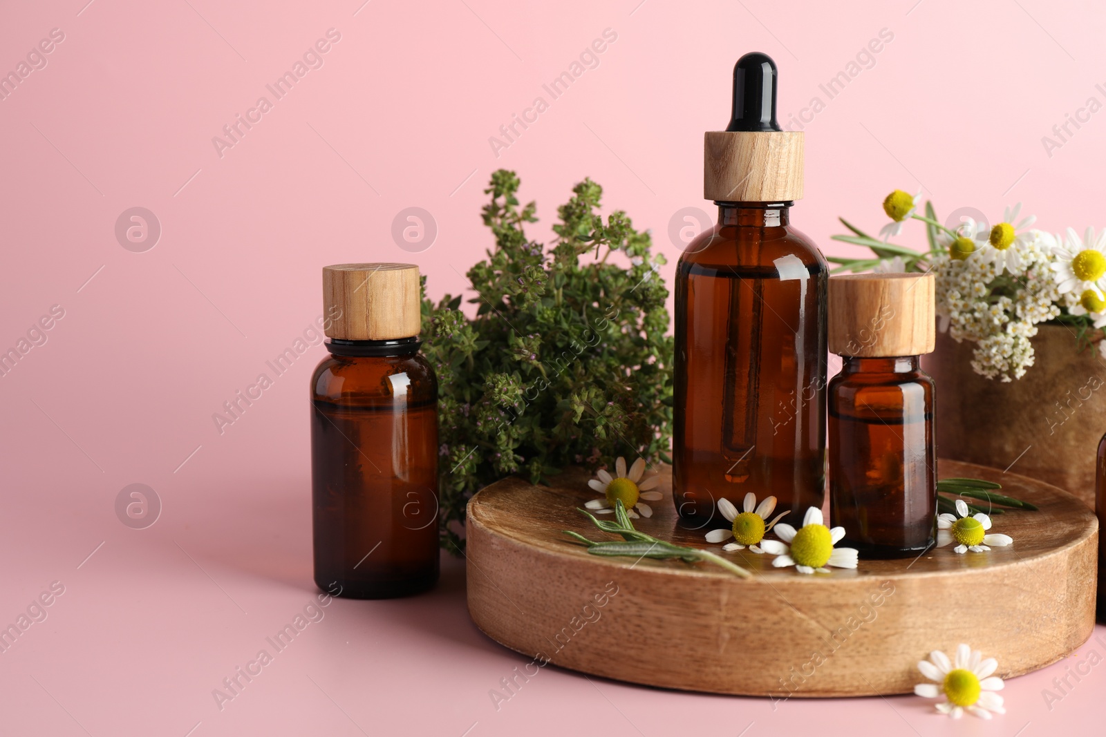 Photo of Aromatherapy. Different essential oils and flowers on pink background