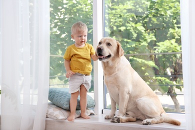 Adorable yellow labrador retriever and little boy near window at home