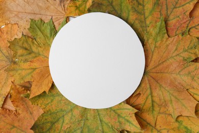 Photo of Blank card on autumn leaves, top view. Space for text