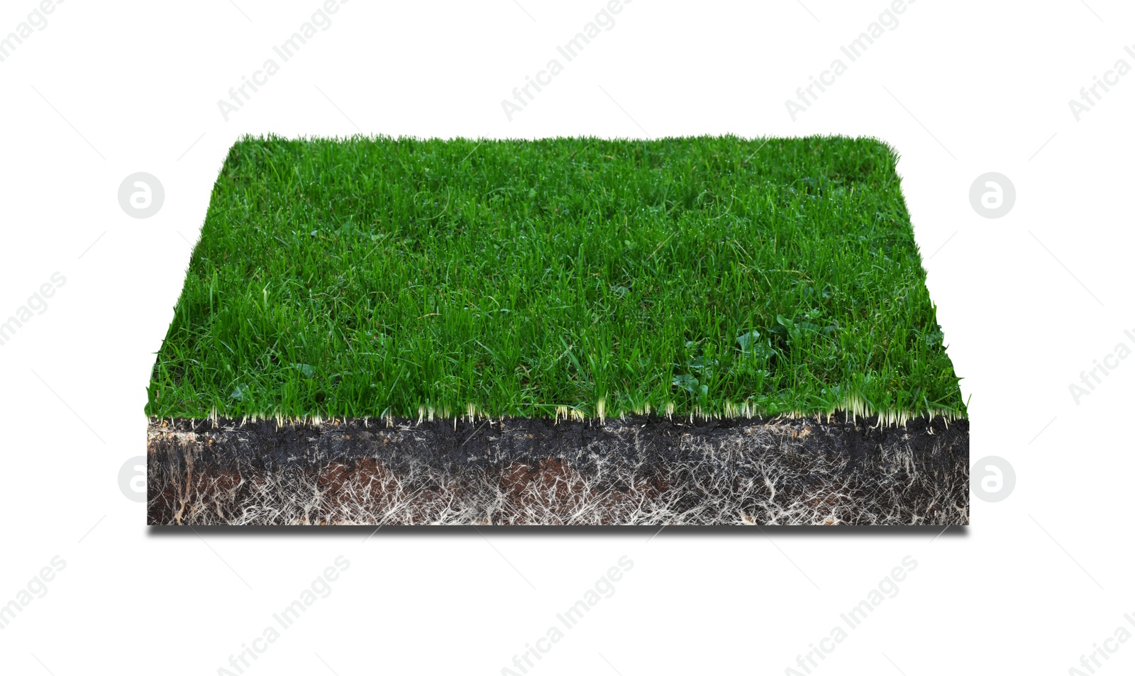 Image of Green grass with soil. Land piece in shape of square isolated on white