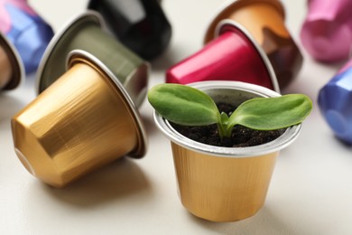 Photo of Coffee capsules and seedling on white table, closeup