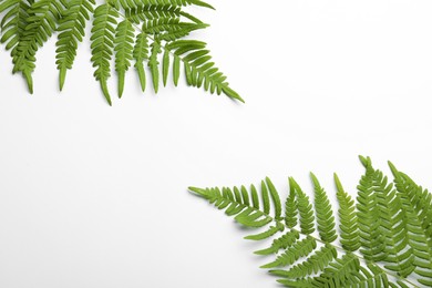 Beautiful tropical fern leaves on white background, top view