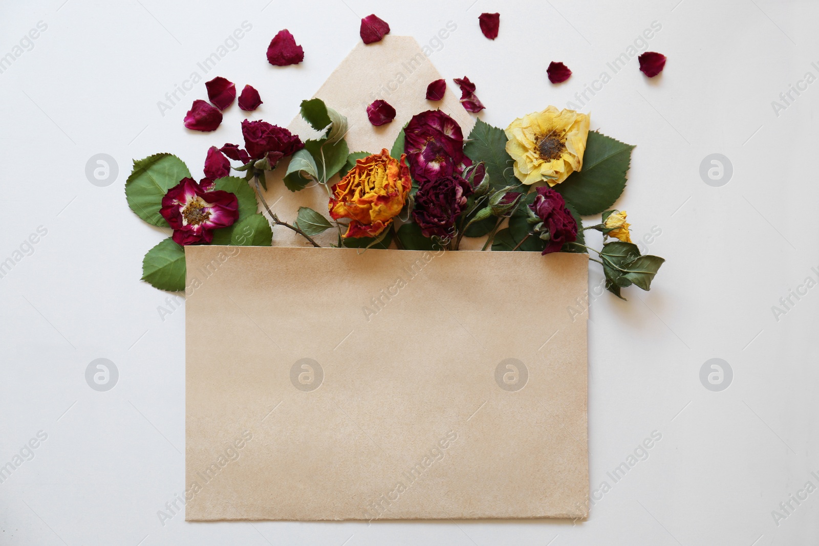 Photo of Flat lay composition with beautiful dried flowers in envelope on white background