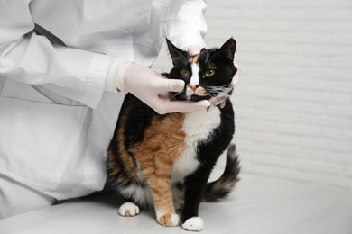 Photo of Veterinarian examining cute cat at white wooden table indoors, closeup. Space for text