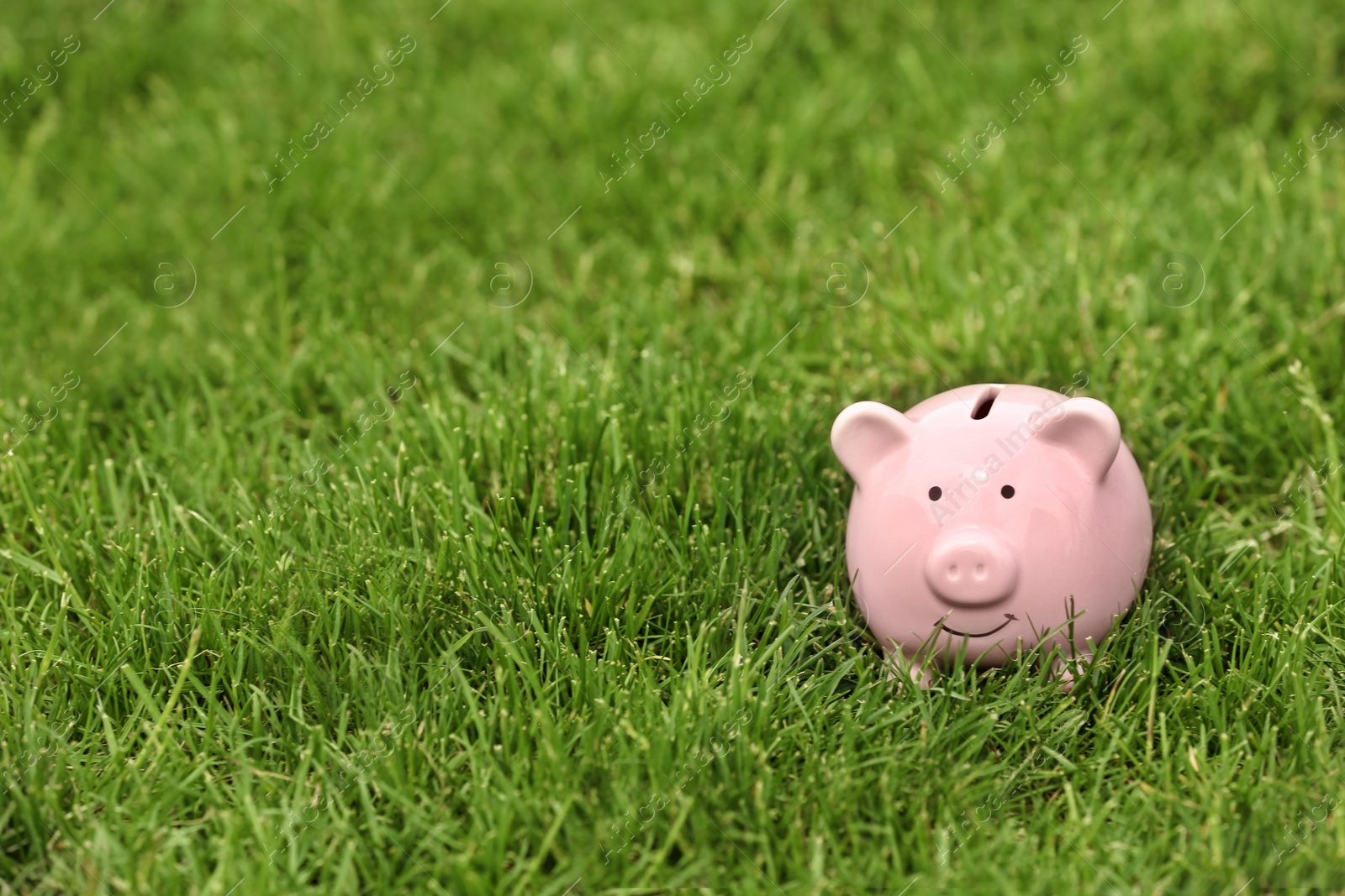 Photo of Cute piggy bank in green grass outdoors. Space for text