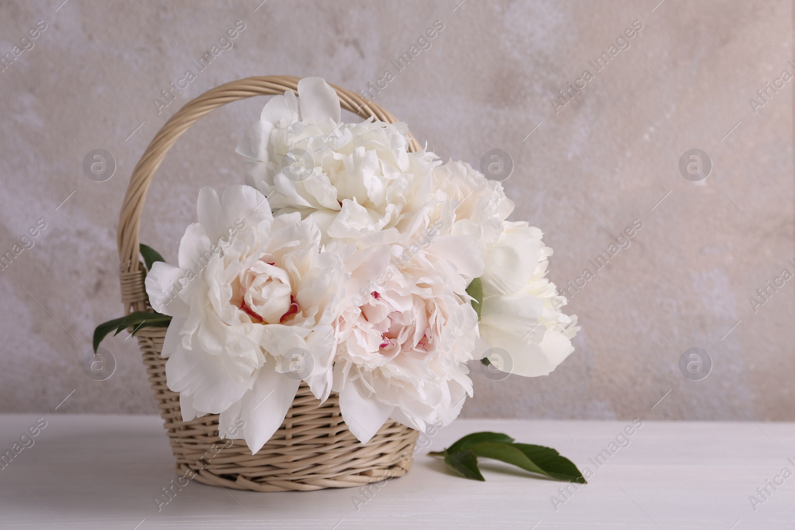 Photo of Beautiful peonies in wicker basket on white table. Space for text