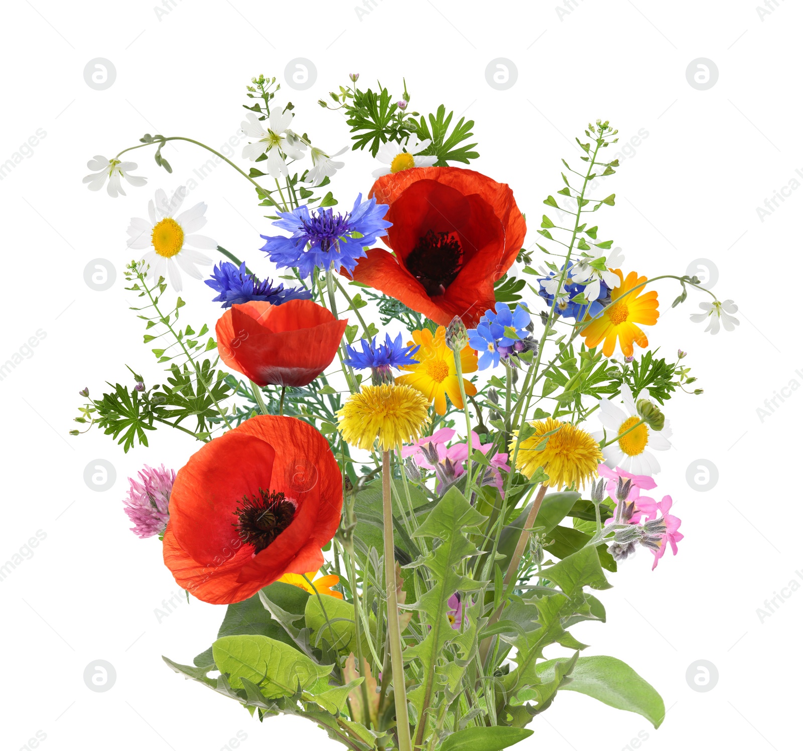 Image of Bouquet of beautiful meadow flowers isolated on white