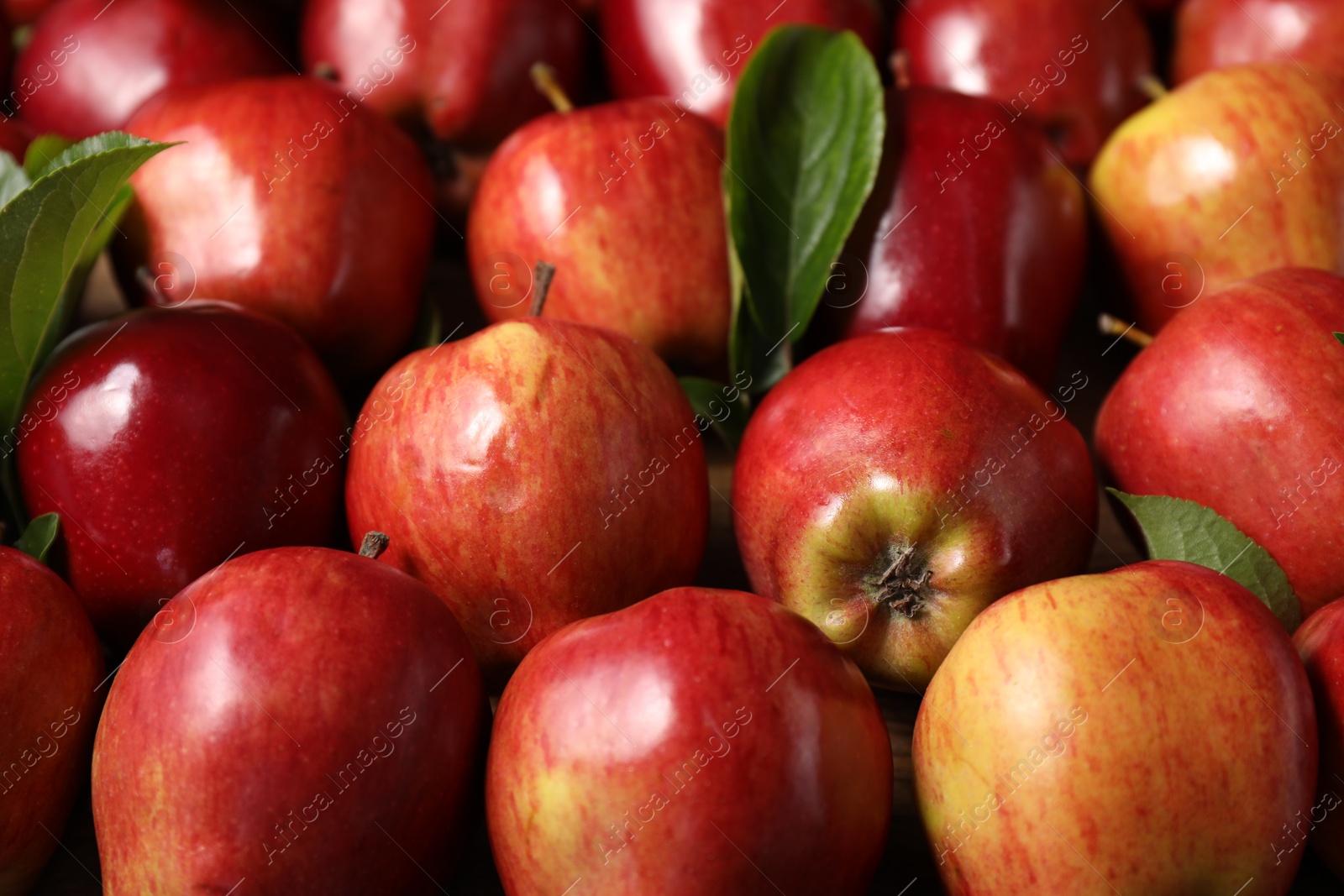 Photo of Fresh ripe red apples with leaves as background, closeup