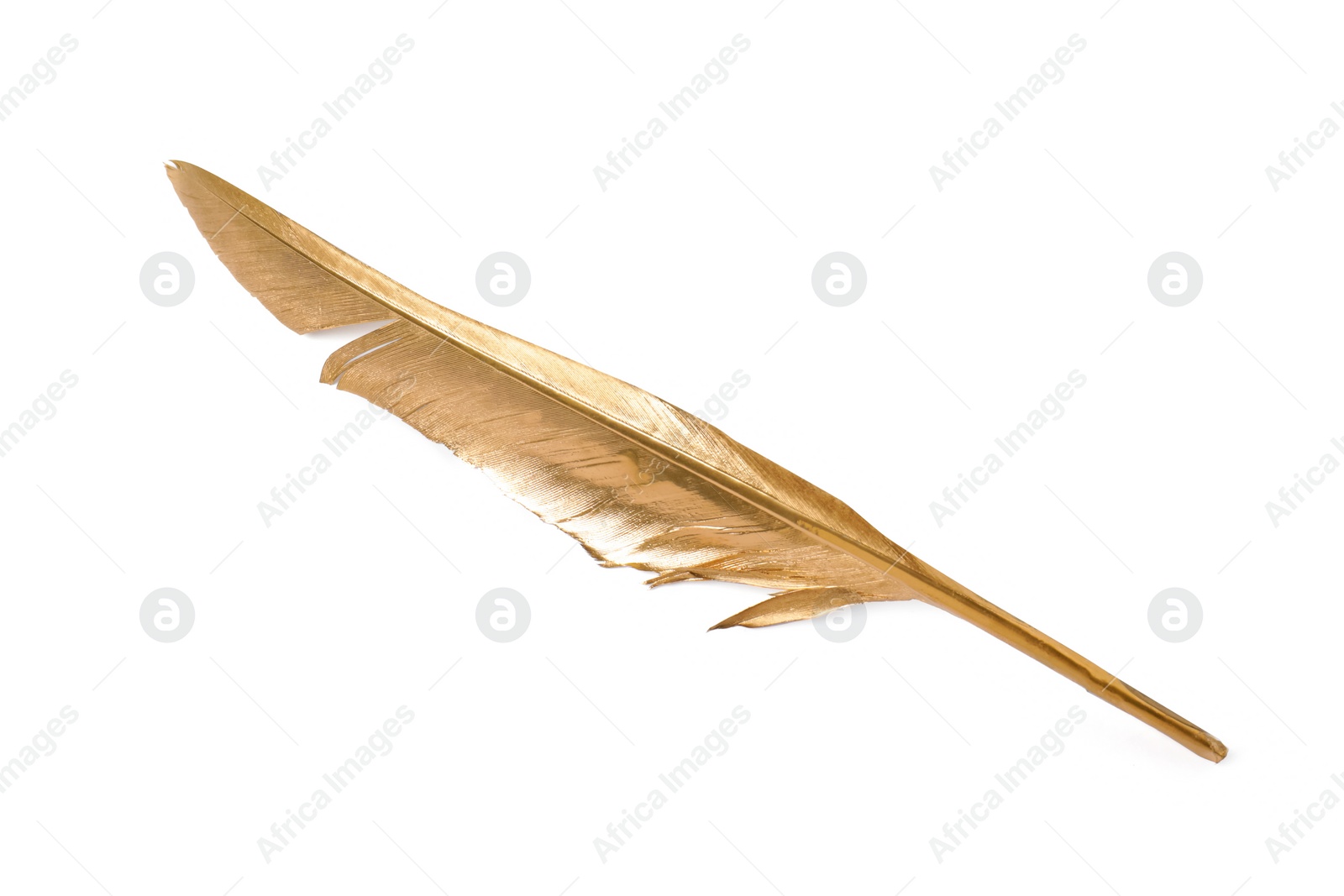 Photo of Shiny stylish golden feather on white background, top view