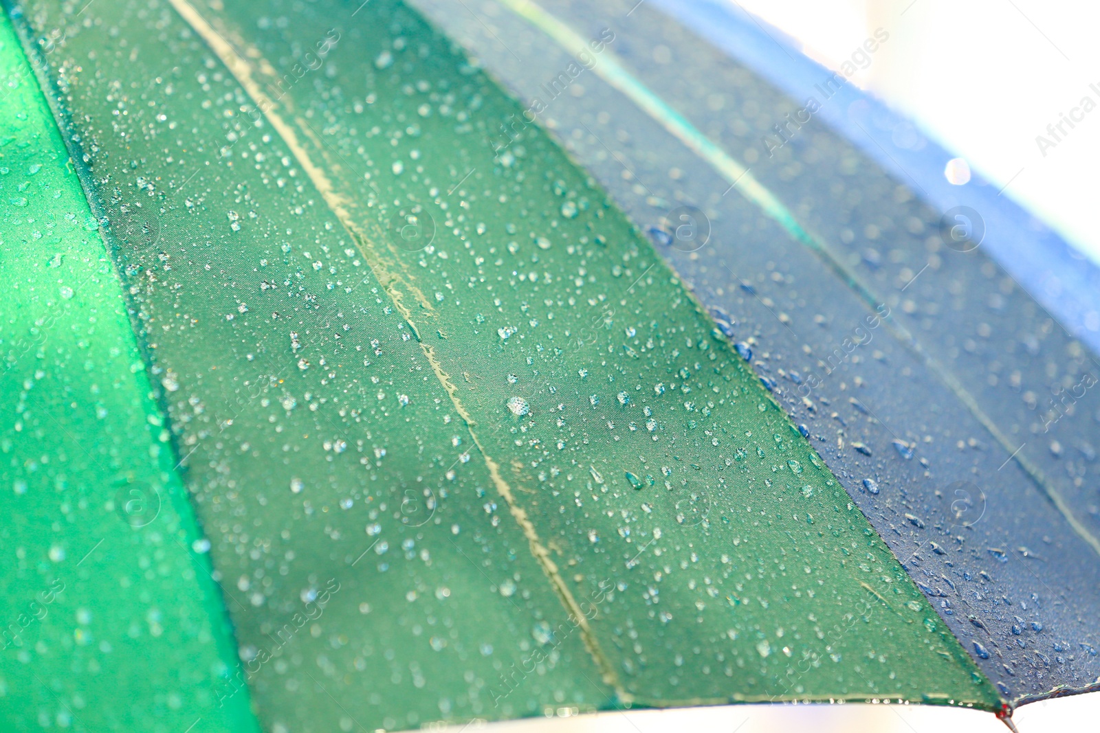 Photo of Bright color umbrella under rain outdoors, closeup