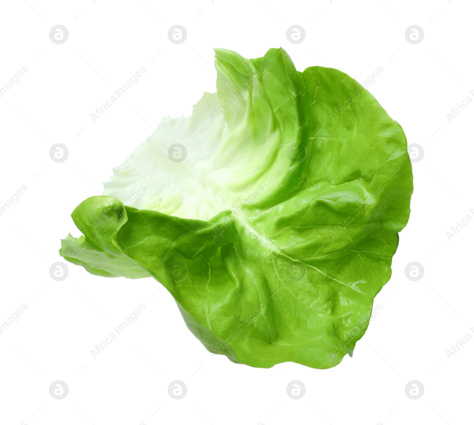 Photo of Fresh leaf of green butter lettuce isolated on white