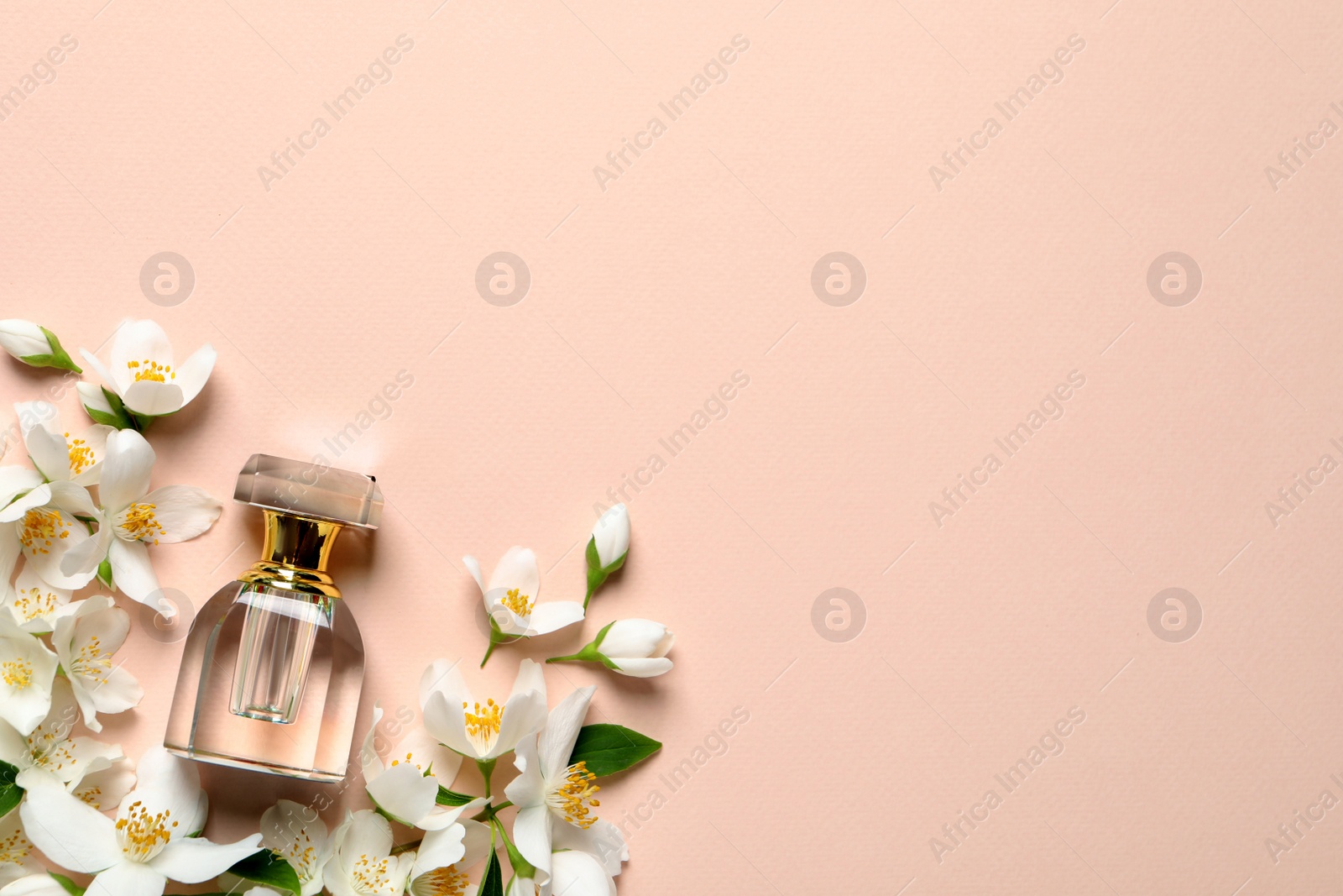 Photo of Bottle of luxury perfume and fresh jasmine flowers on beige background, flat lay. Space for text