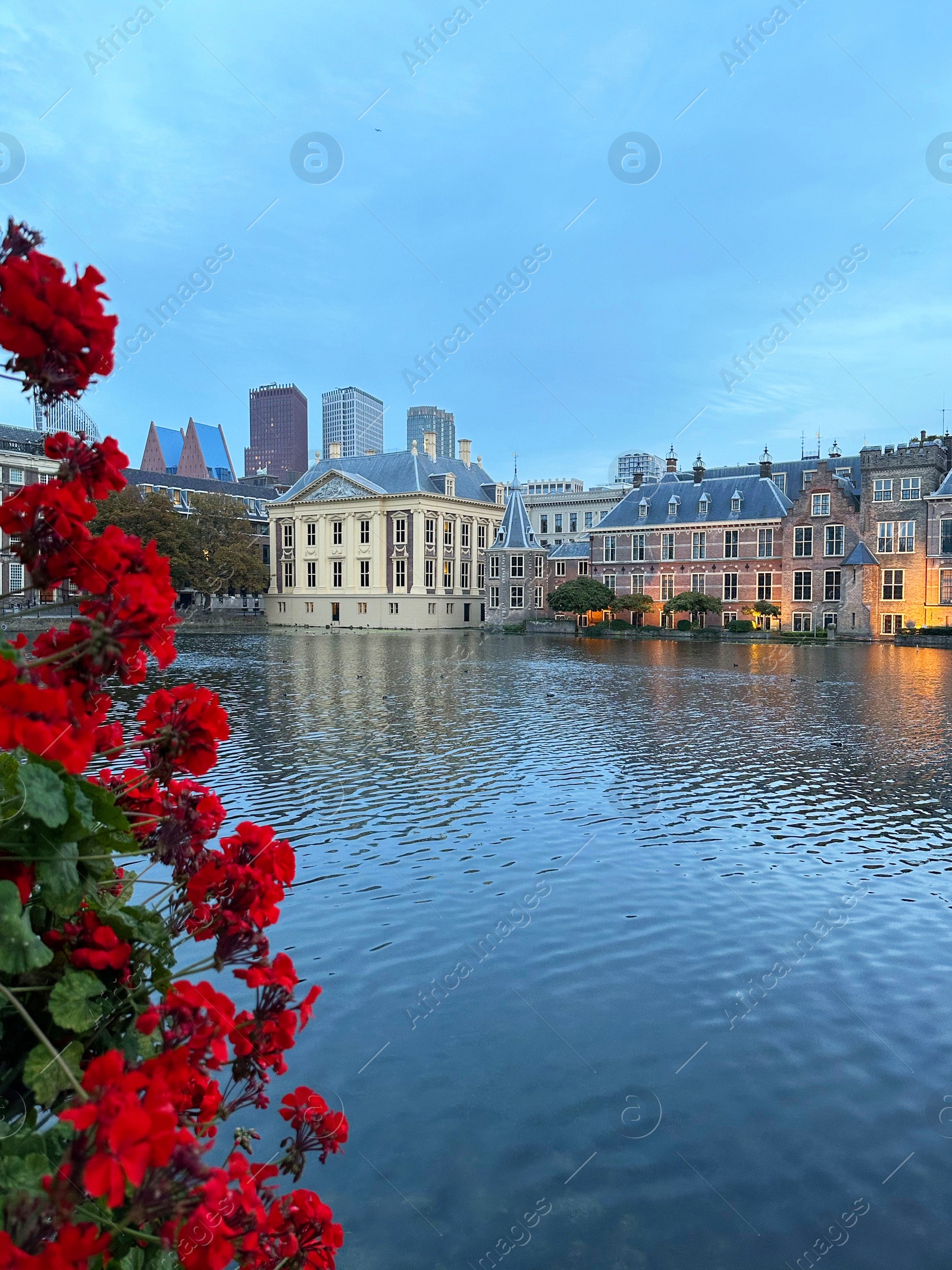 Photo of Beautiful view of red flowers and buildings on riverside in city