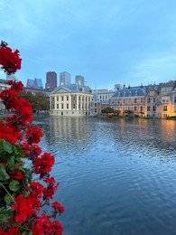 Beautiful view of red flowers and buildings on riverside in city