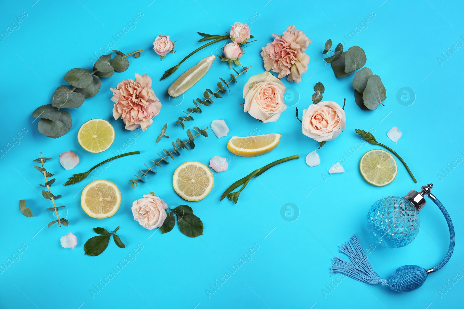 Photo of Beautiful flat lay composition with bottle of perfume, eucalyptus, citrus fruits and flowers on blue background