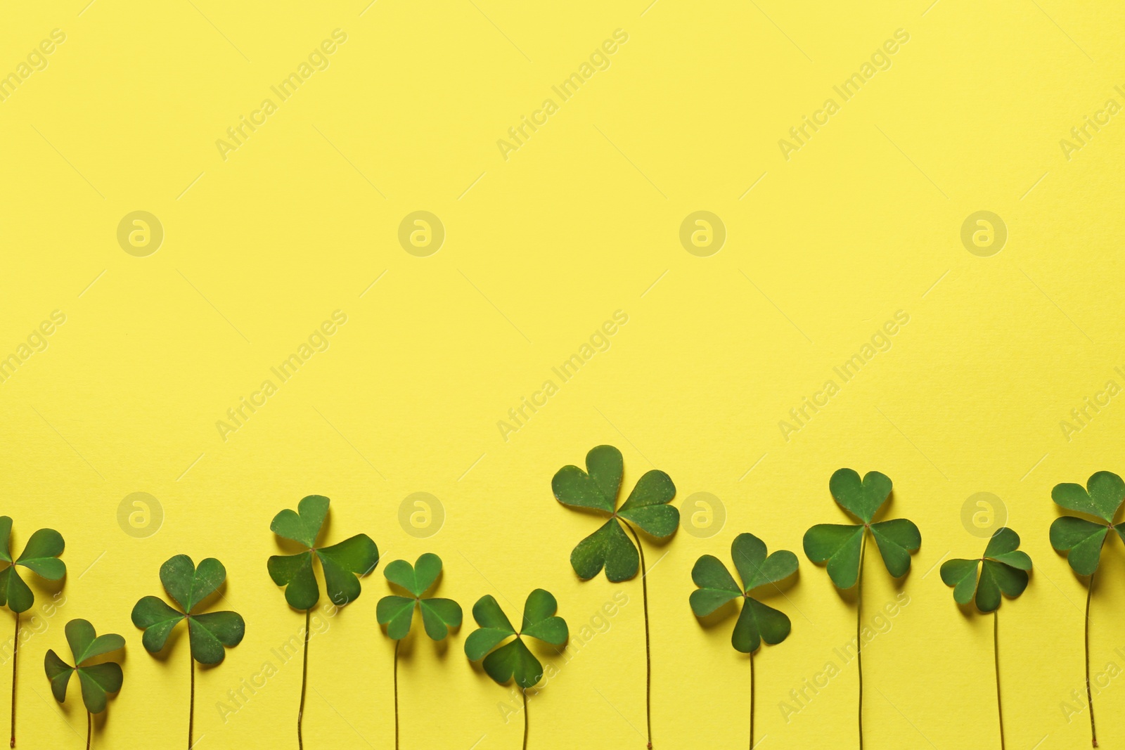 Photo of Green clover on yellow background, flat lay. Space for text