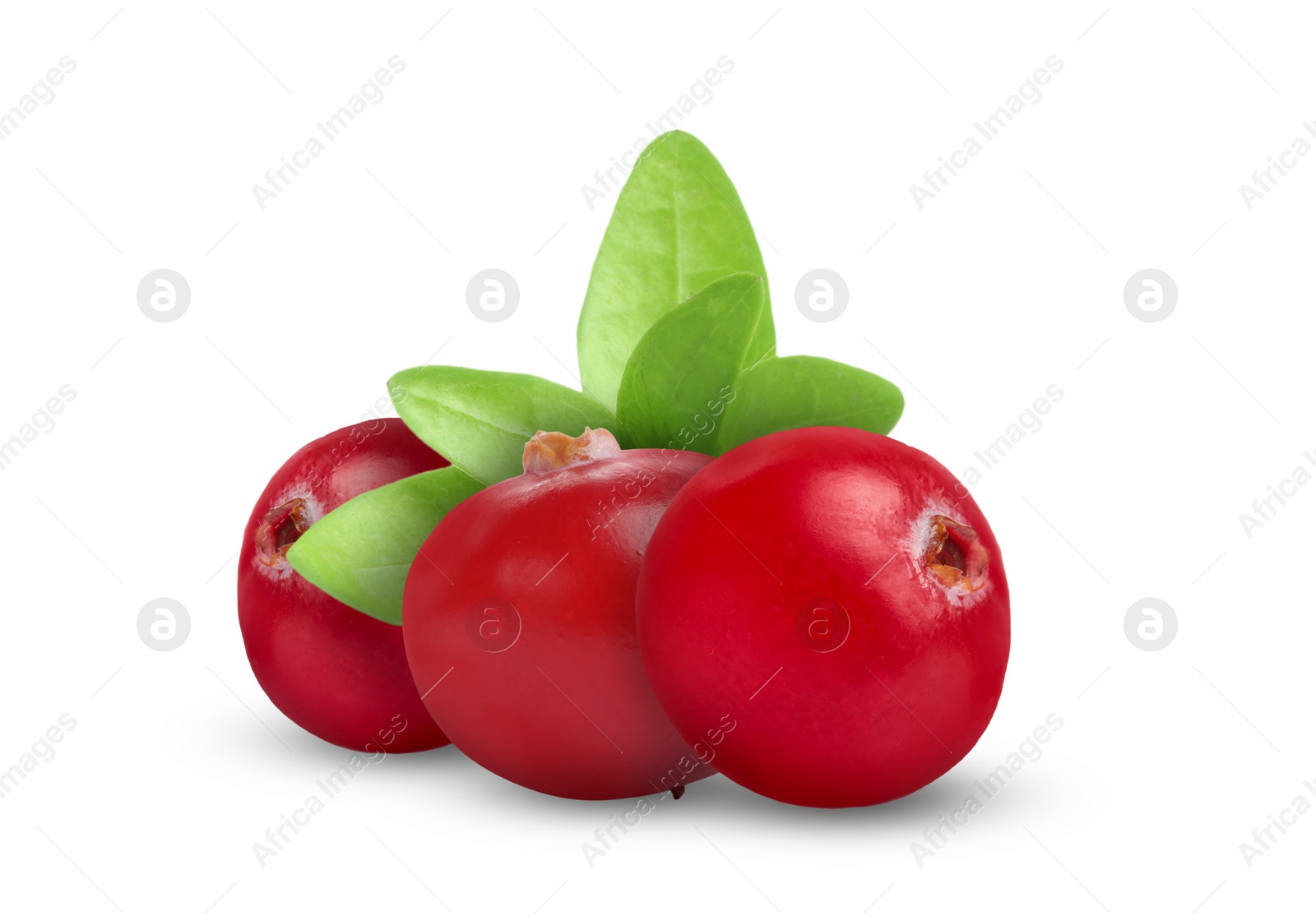 Image of Fresh ripe cranberries with leaves isolated on white