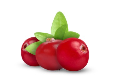 Image of Fresh ripe cranberries with leaves isolated on white