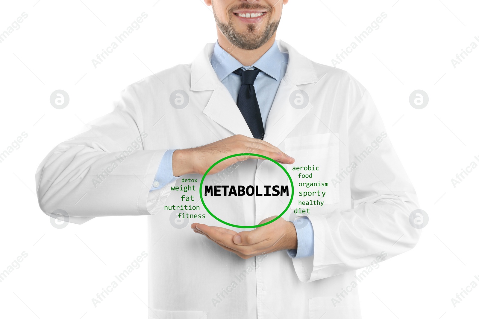 Image of Metabolism concept. Doctor presenting scheme on white background, closeup