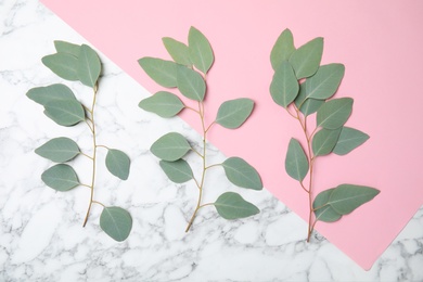 Flat lay composition with fresh eucalyptus leaves on marble background