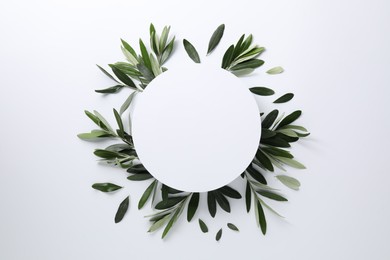 Frame made of fresh green olive leaves on white background, flat lay. Space for text