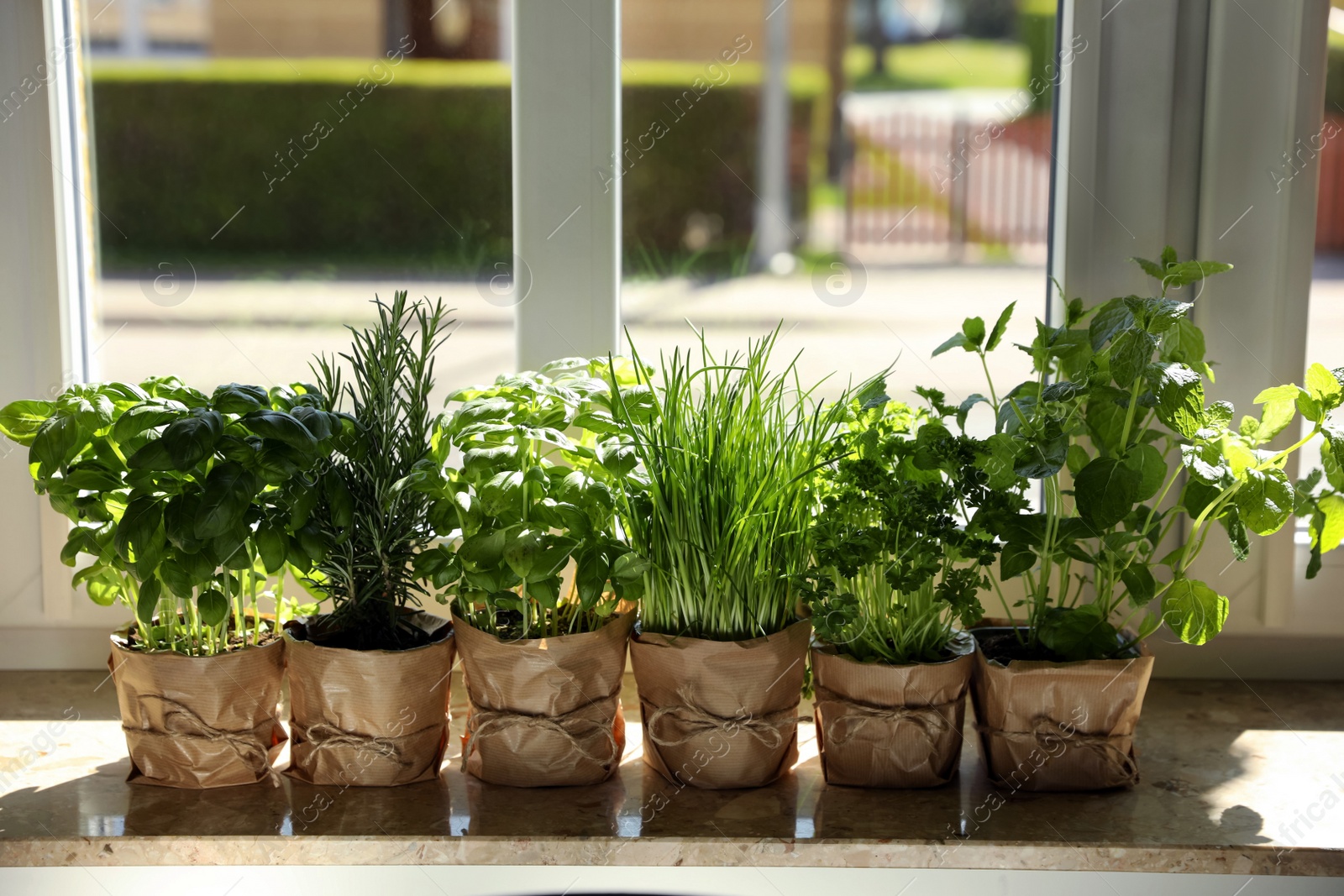 Photo of Different aromatic potted herbs on windowsill indoors