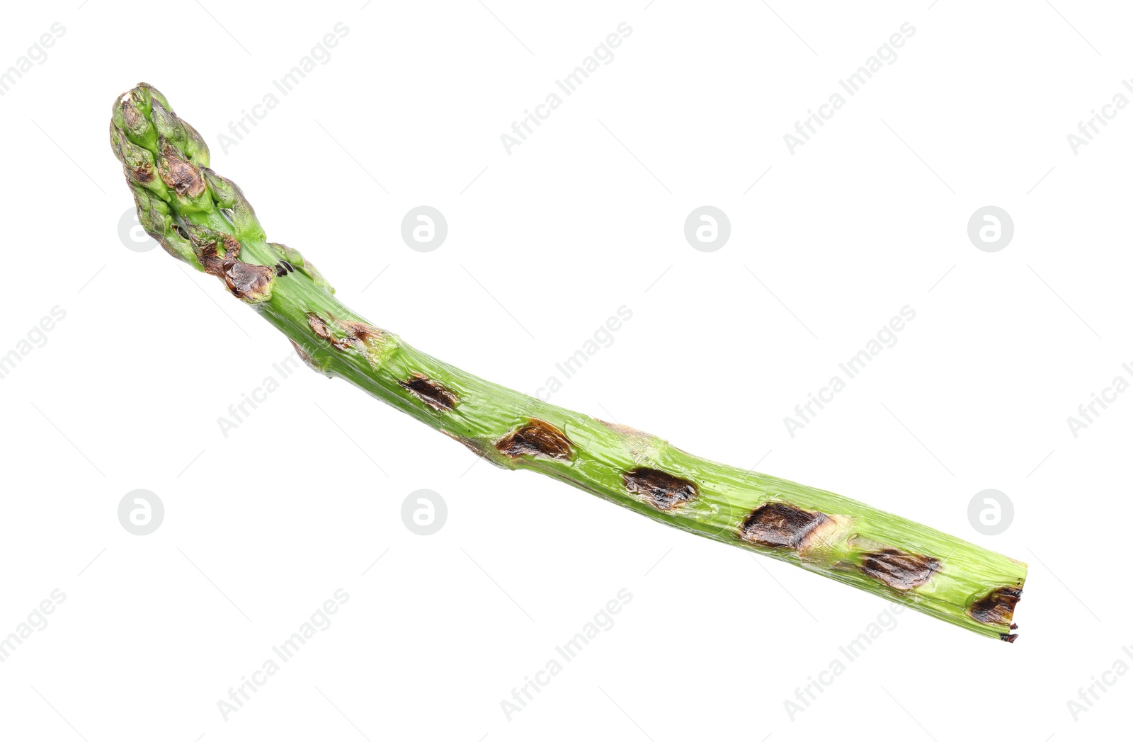 Photo of Tasty grilled green asparagus isolated on white