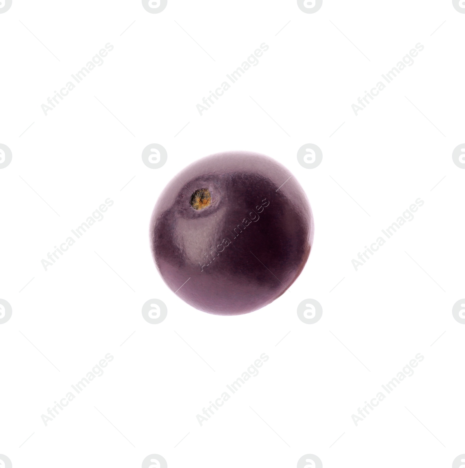 Photo of Fresh ripe acai berry isolated on white