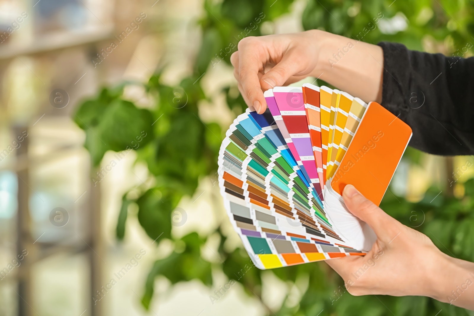 Photo of Female designer holding color palette samples on blurred background