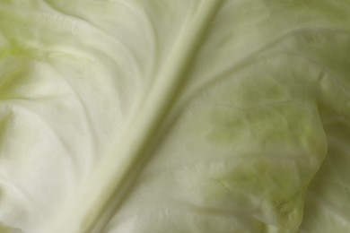 Photo of Leaf of white cabbage as background, closeup